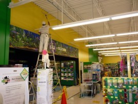 Commercial_Painting_Pet_Supplies_reduced.jpg