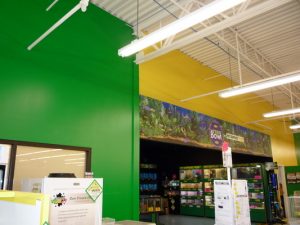 Commercial-Painting-Contractors