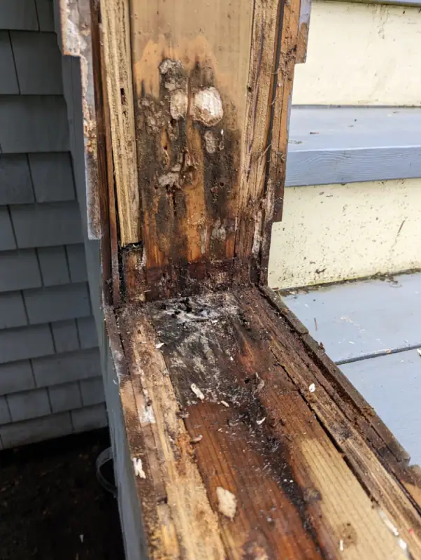 rotten wood repair 2 rotten wood repair